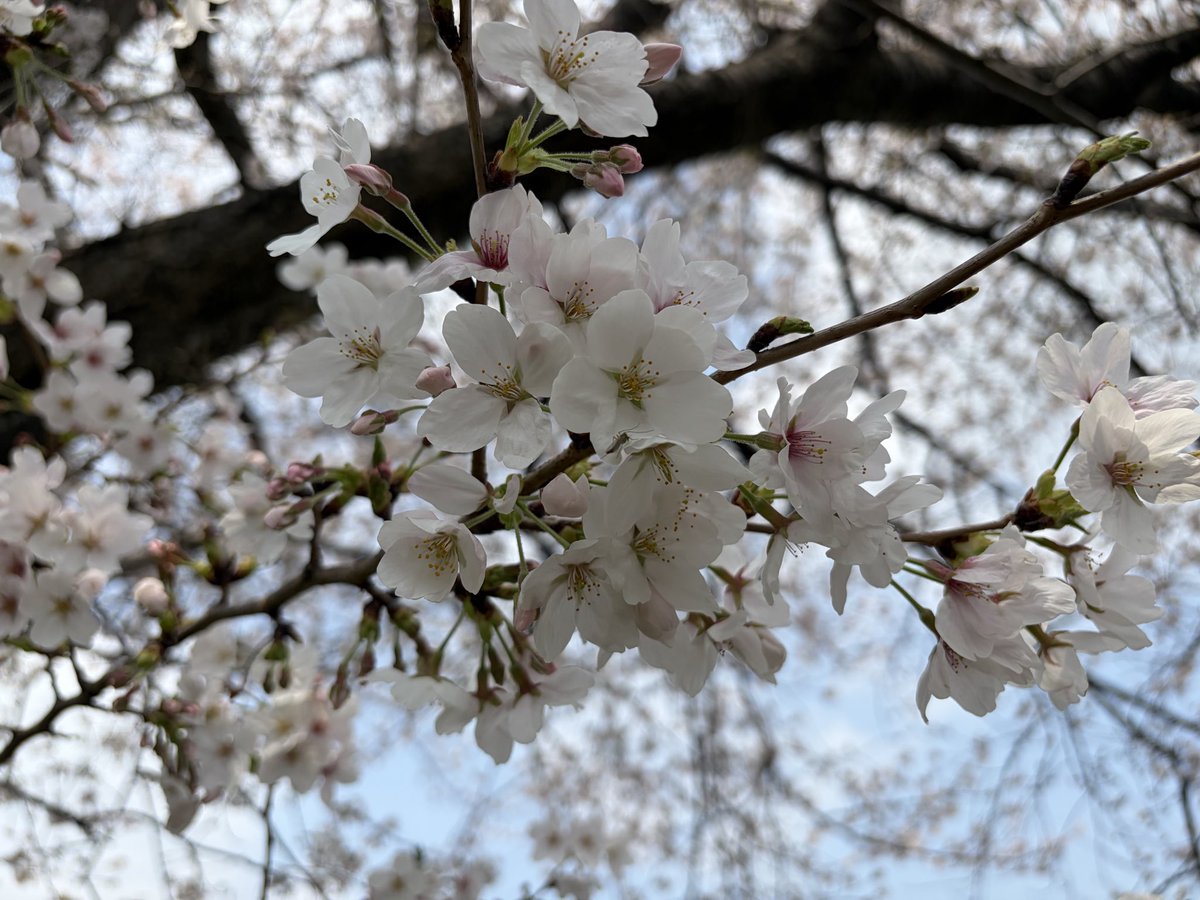 IKNOW♡UK7179T🐰이륙26🛫UKNOWROUS👣윤호는사랑받기위해태어난사람❤︎ tweet media