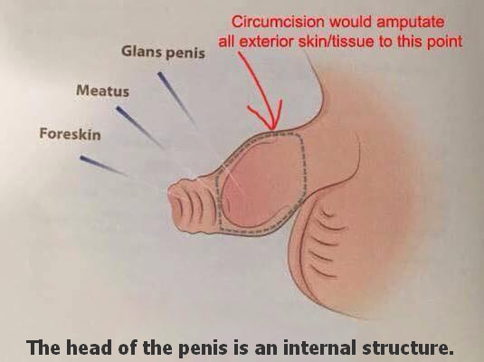 Jᴇʀᴇᴍʏ tweet media