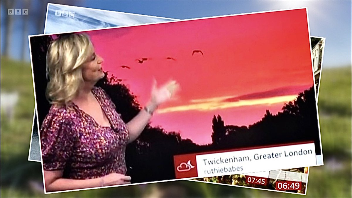 Ruth Wadey tweet media