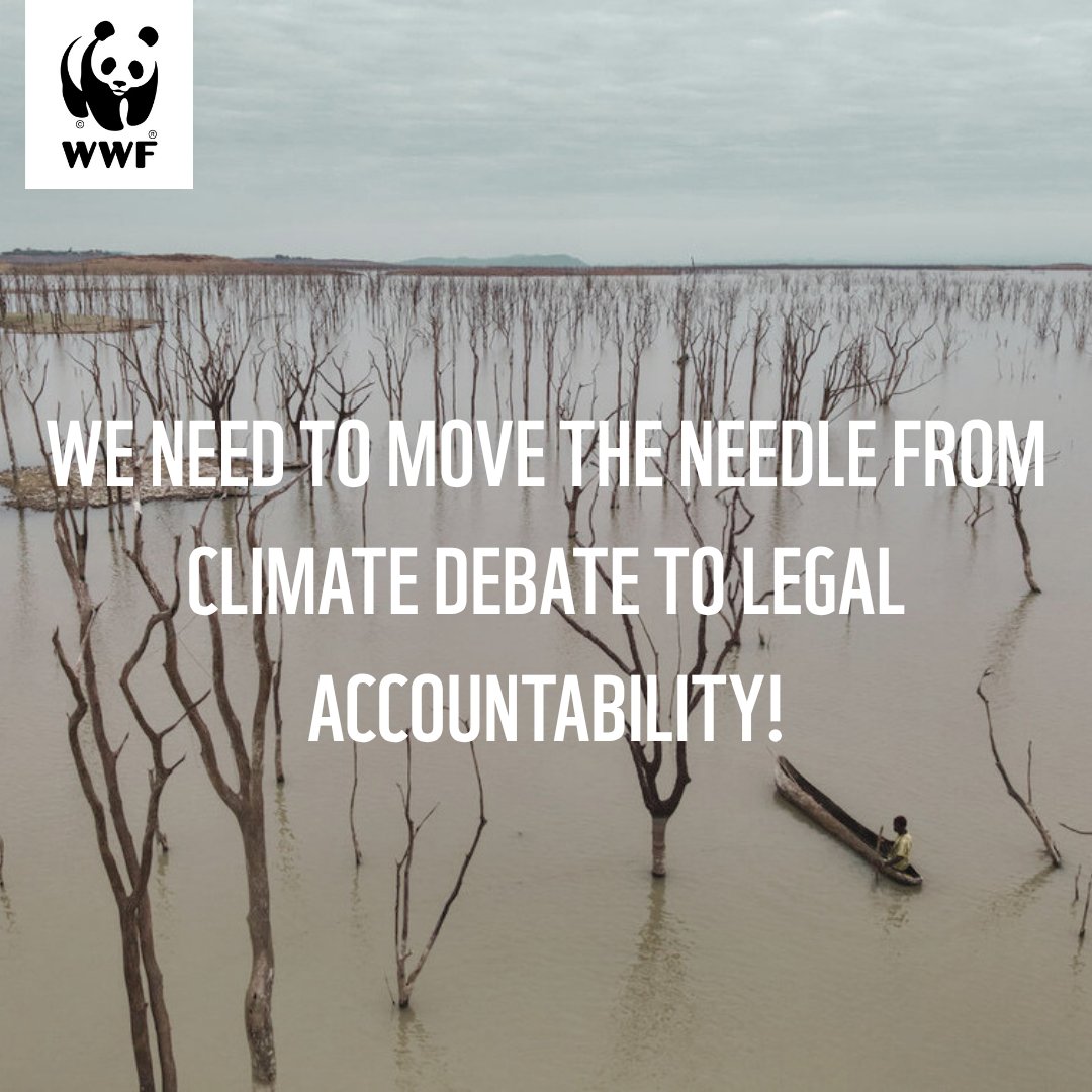 WWF Climate and Energy tweet media