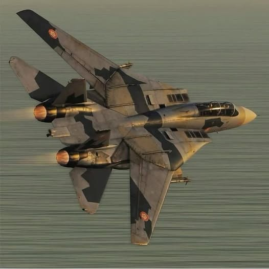 TOMCATCO tweet media