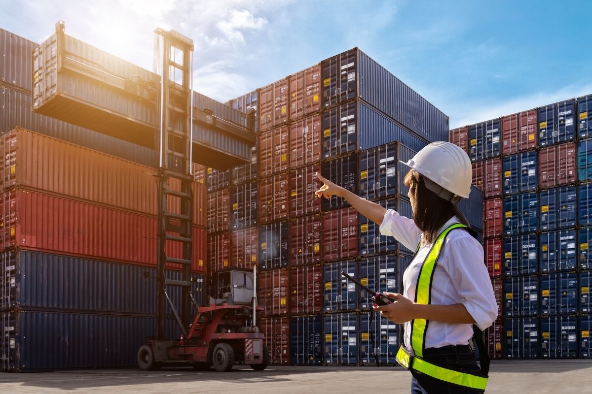 Patronlar Dünyası tweet media