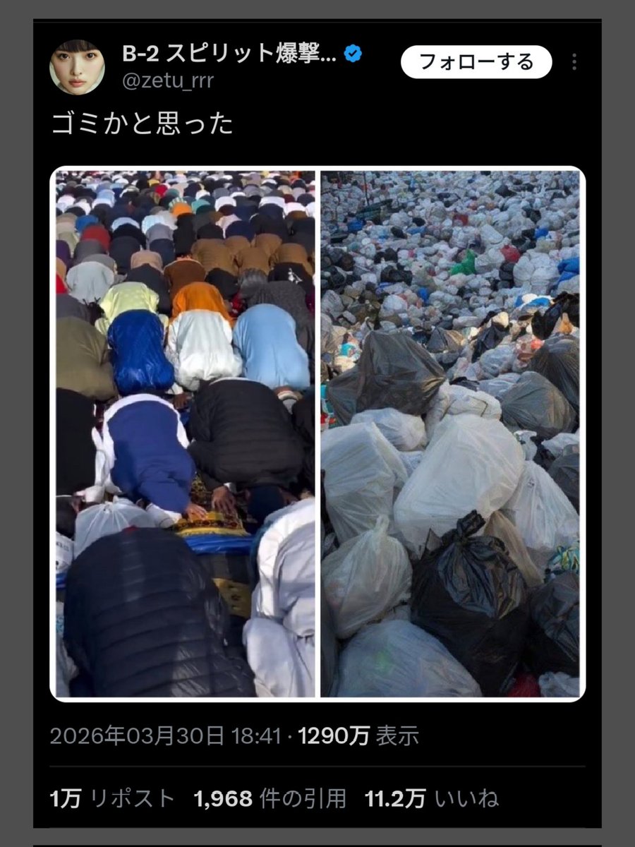 技術系会社員🗣️🇷🇺📣🟠🦕🦖🌎☄️🌑👁️🪬✡️🌸🇯🇵⛩️🧠 tweet media