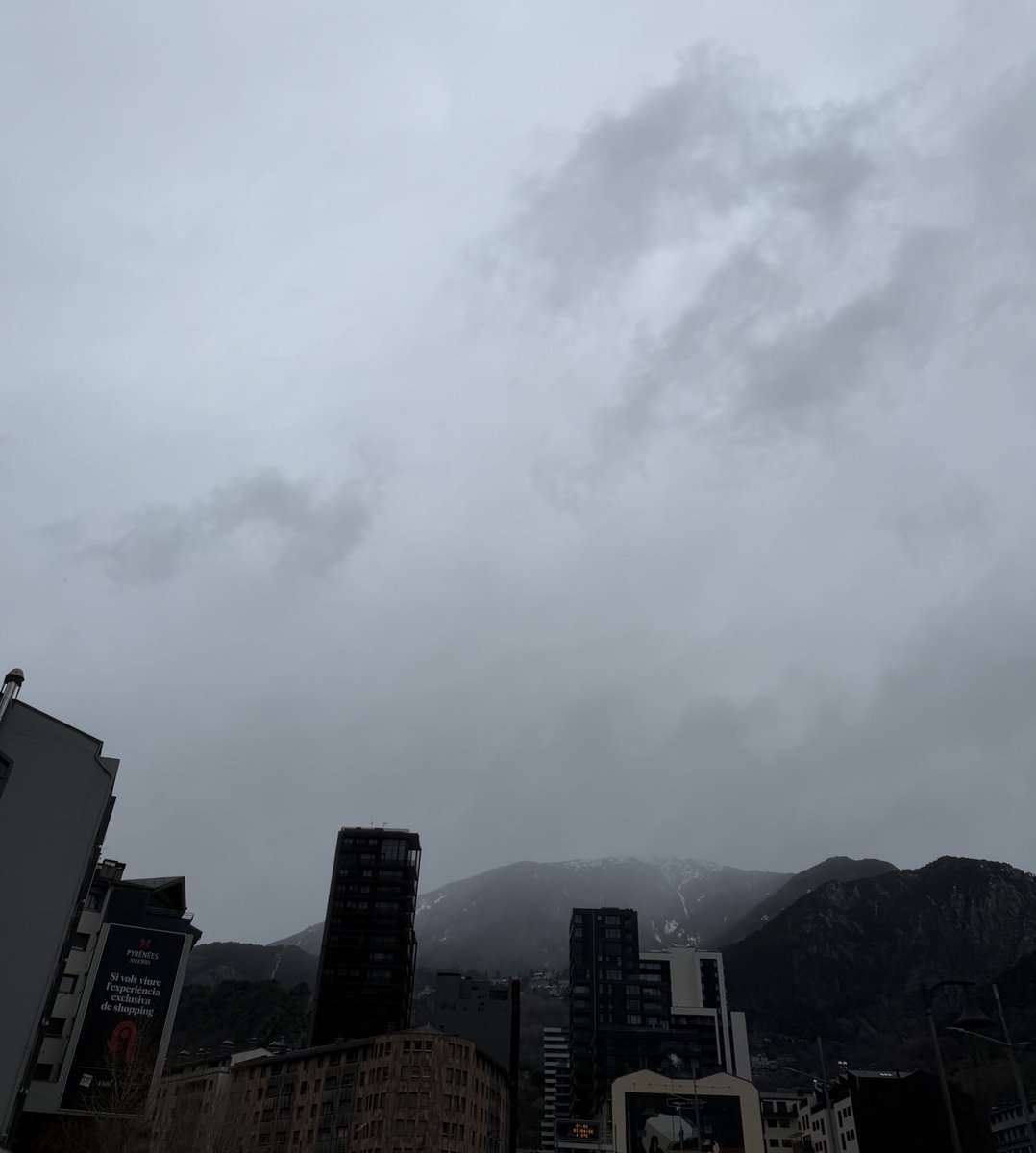 joan carles tweet media