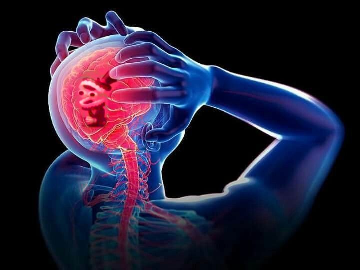 BlushEra tweet media