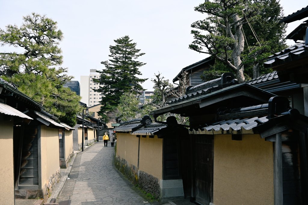 西麺類 tweet media