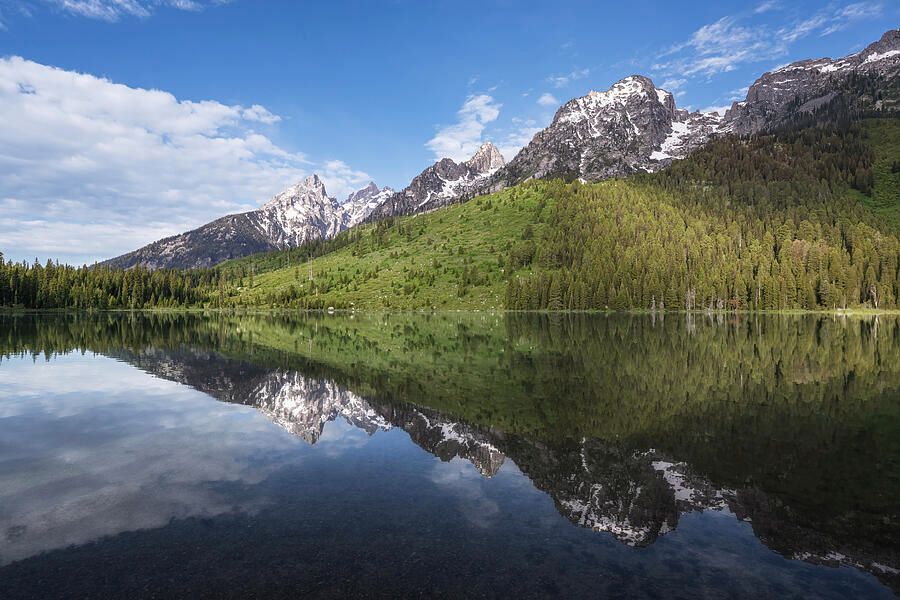 joancarroll's tweet image. String Lake Grand Teton NP Wyoming! buff.ly/tCMJuNl #stringlake #lake #mountains #grandteton #nationalpark #wyoming #reflections #snowcapped #forest #landscapephotography #landscape #artforsale #wallartforsale #giftideas @joancarroll