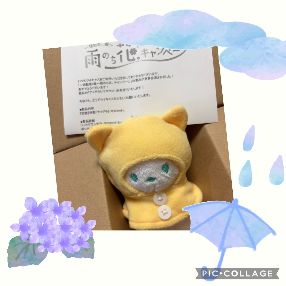 momoCapy／ ｀ ｴ）🤎 tweet media