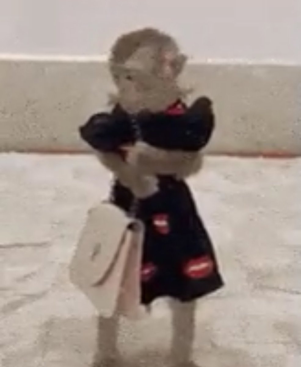 Waliyat ⊹ tweet media