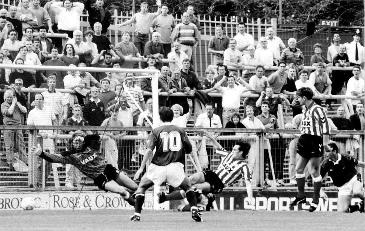 VOTE DALEY tweet media