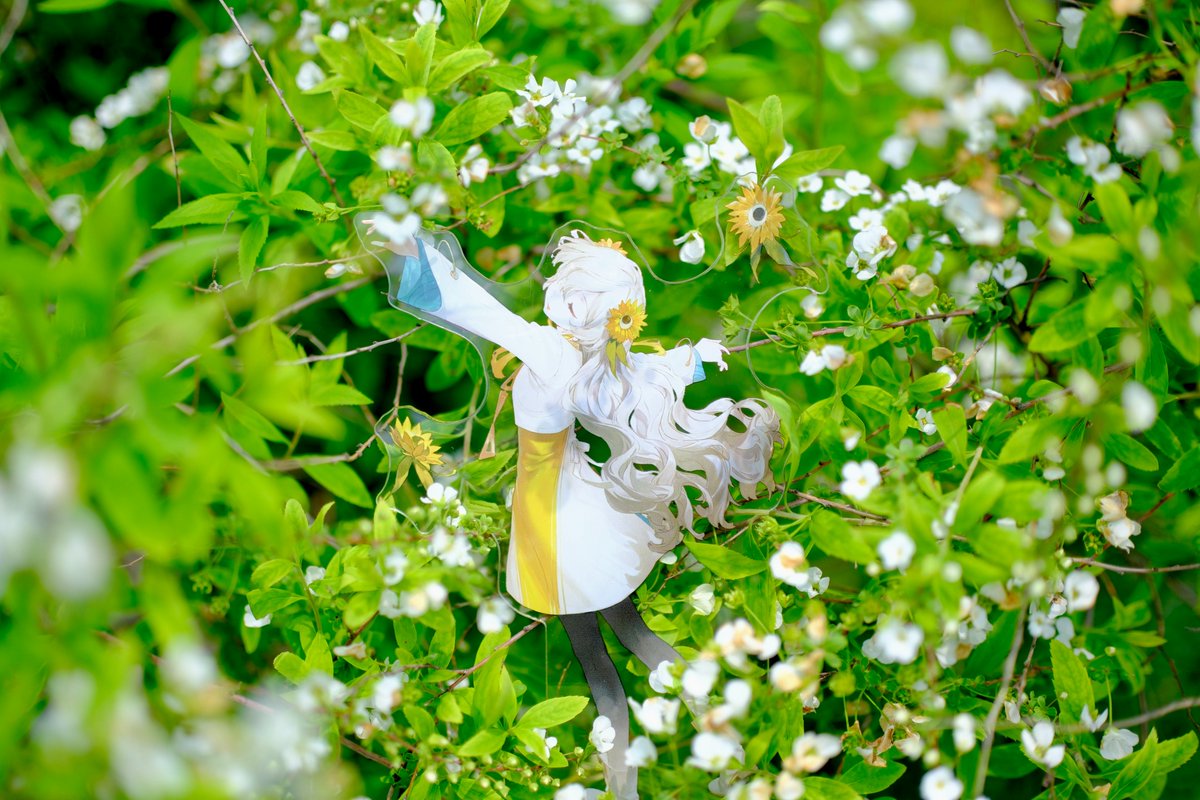 天弓弦🌻同人誌CanbyLive2準備中 tweet media