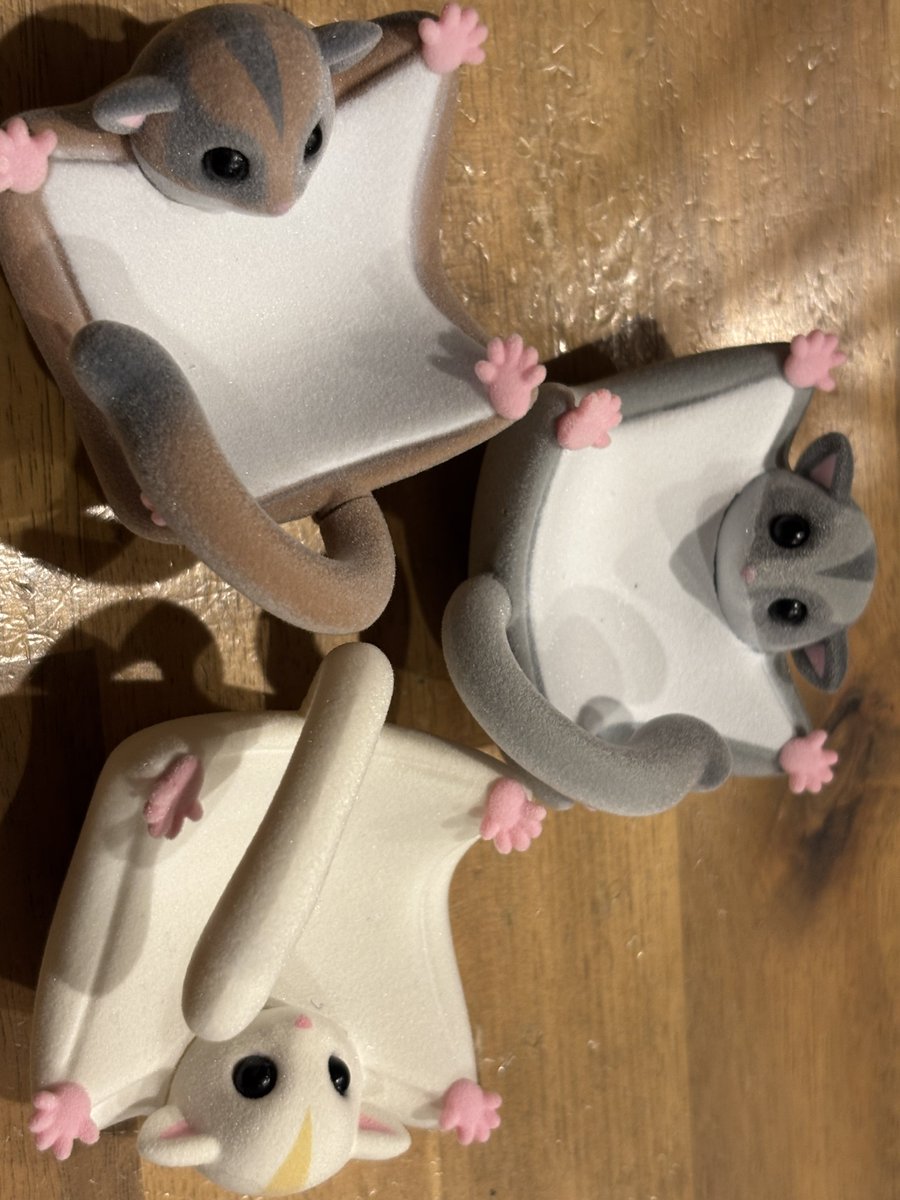 💙モカ&ミコwithぱぴー💛 tweet media