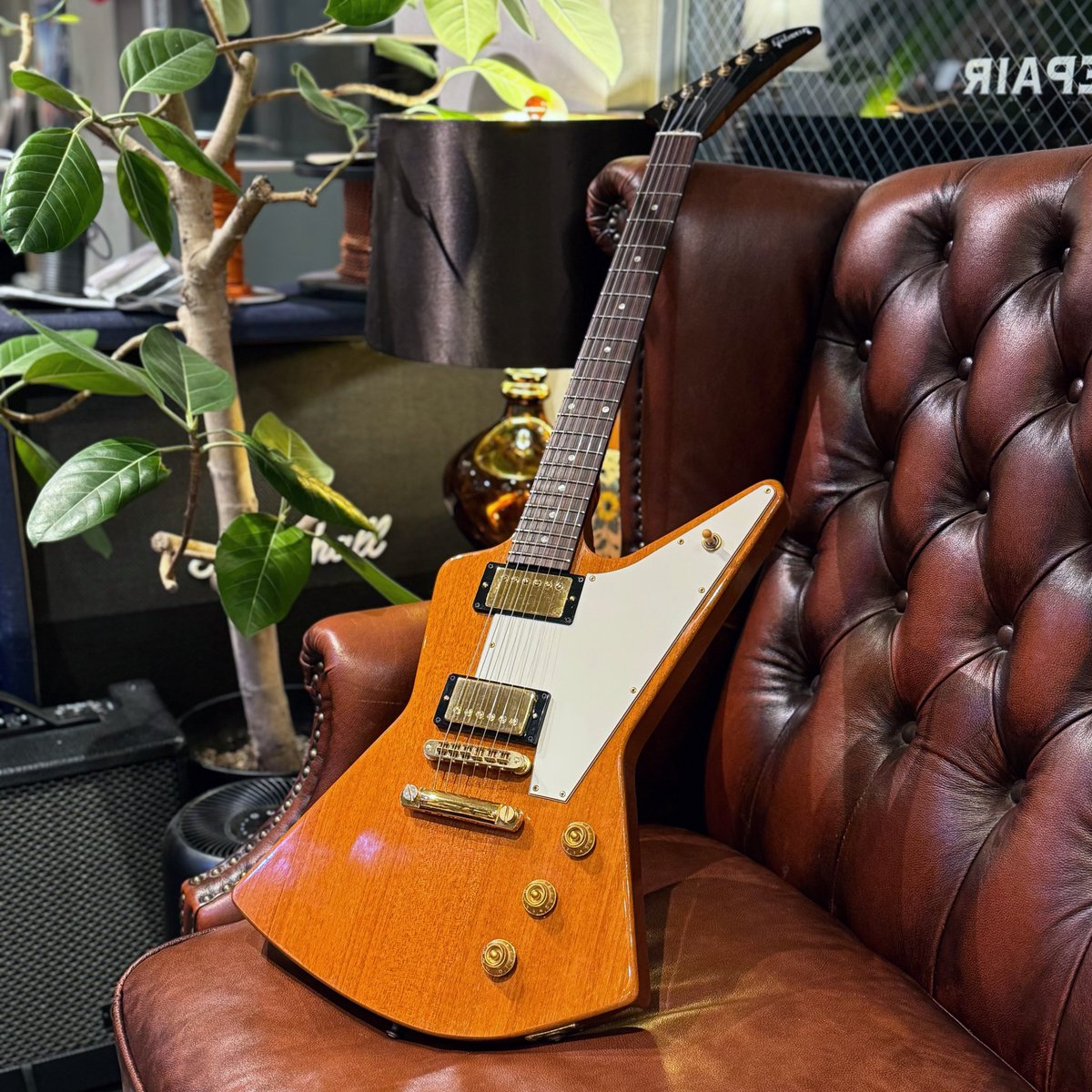 Xotique's tweet image. エルボーカットモディファイのエクスプローラーが入荷しました🔥
カッチョイー！！
メンテナンス終わり次第UPします！🫡

#Gibson
#Explorer
#Xotique
#新入荷