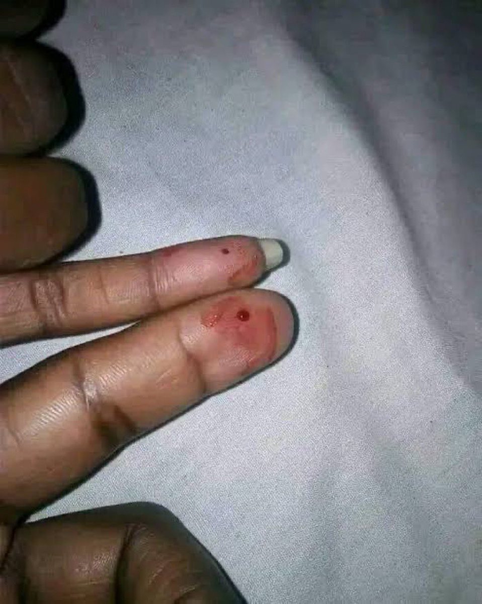 Sonia^ ₿ tweet media