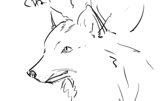 ♱ 黒野京 𝕴𝖓𝖋𝖔 ♱ tweet media