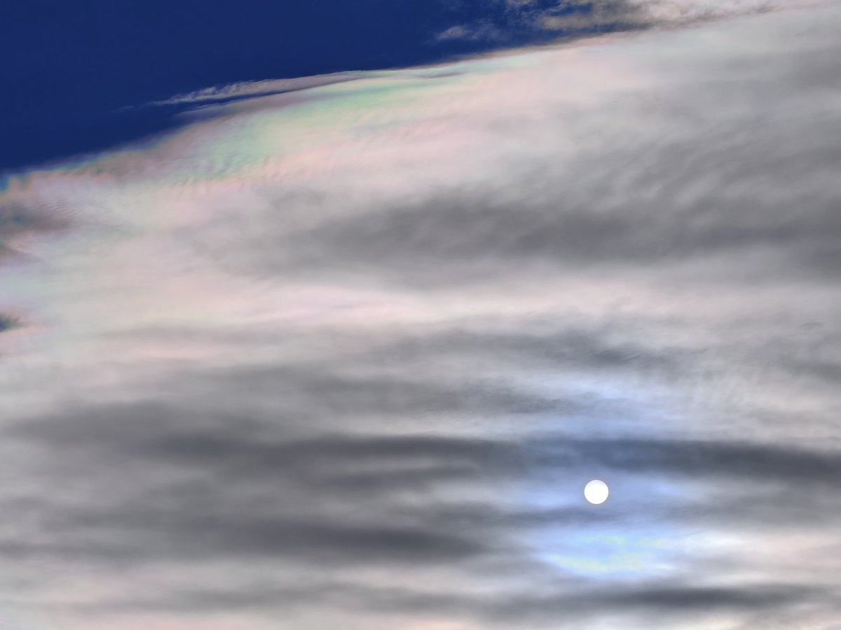 MeteoSantFost tweet media