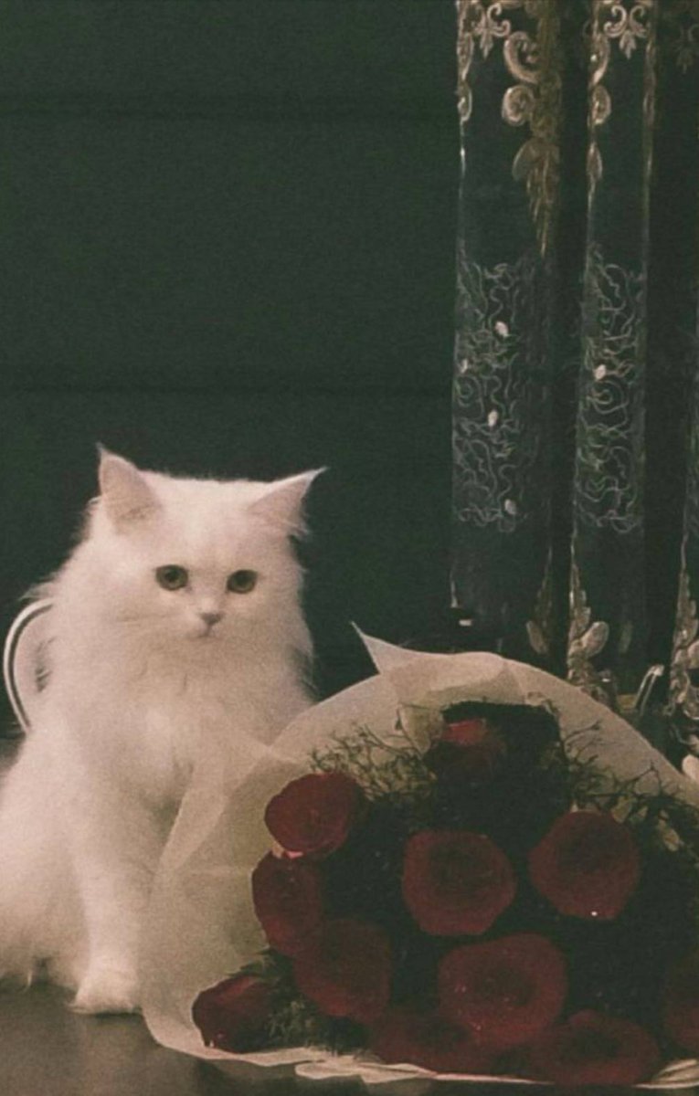 ذكرى`~🇸🇦 tweet media