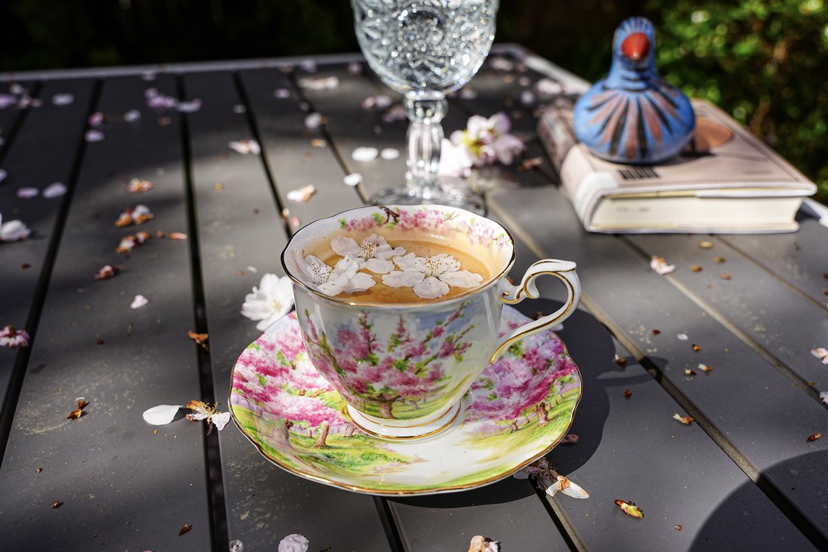 Skykid🍁 tweet media