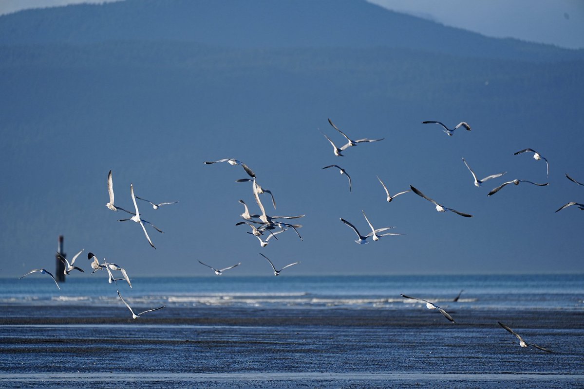 Skykid🍁 tweet media