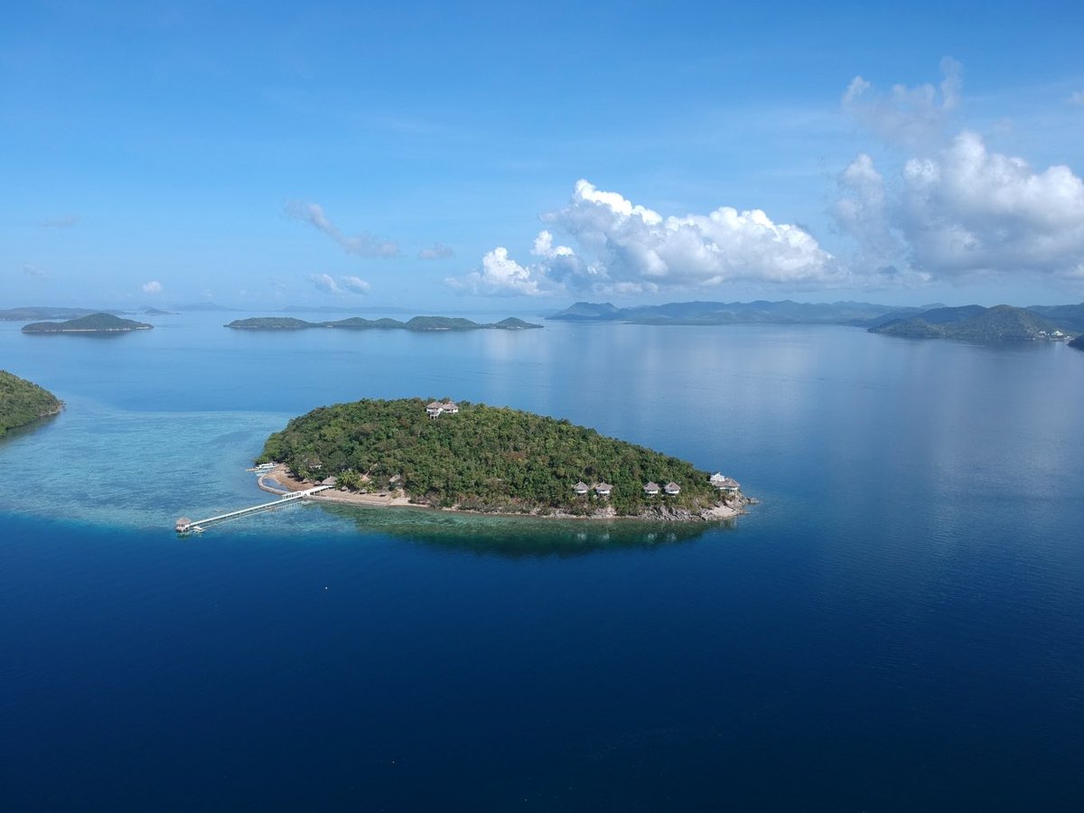 Alvin Carpio tweet media