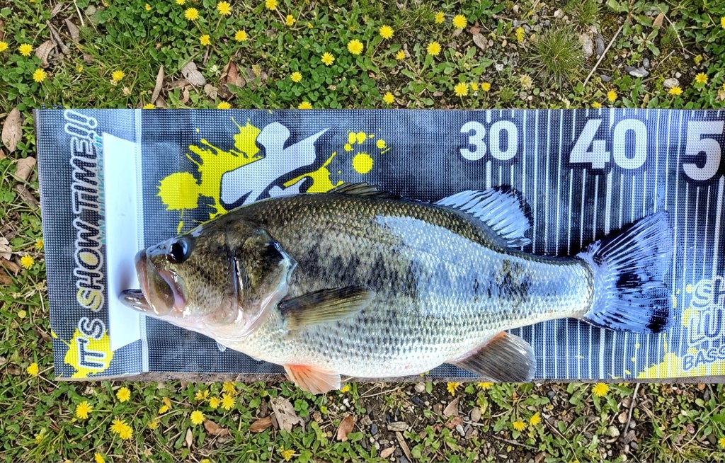 morimiy@🎣✨ tweet media