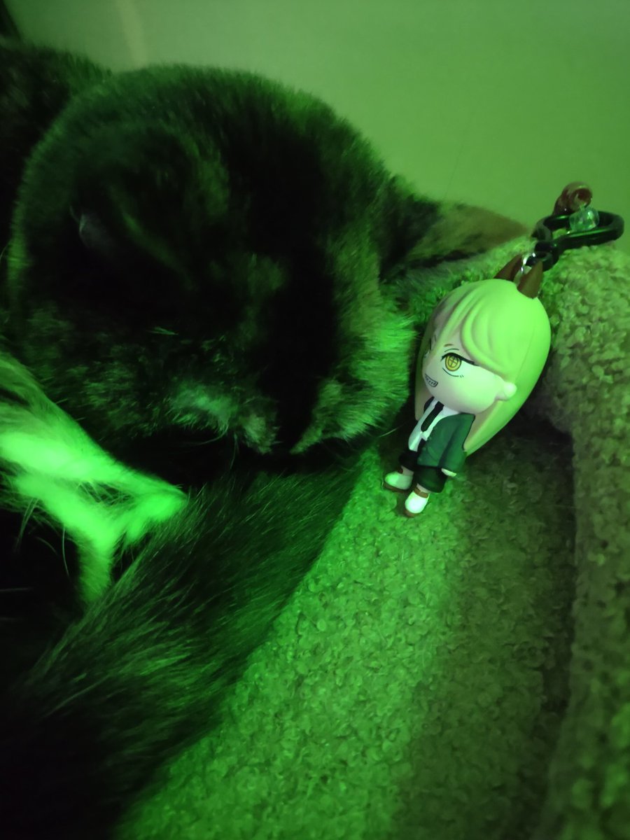 🎲Shaneycake🎲☀️Opossum VTuber☀️ Re-debut TBA tweet media