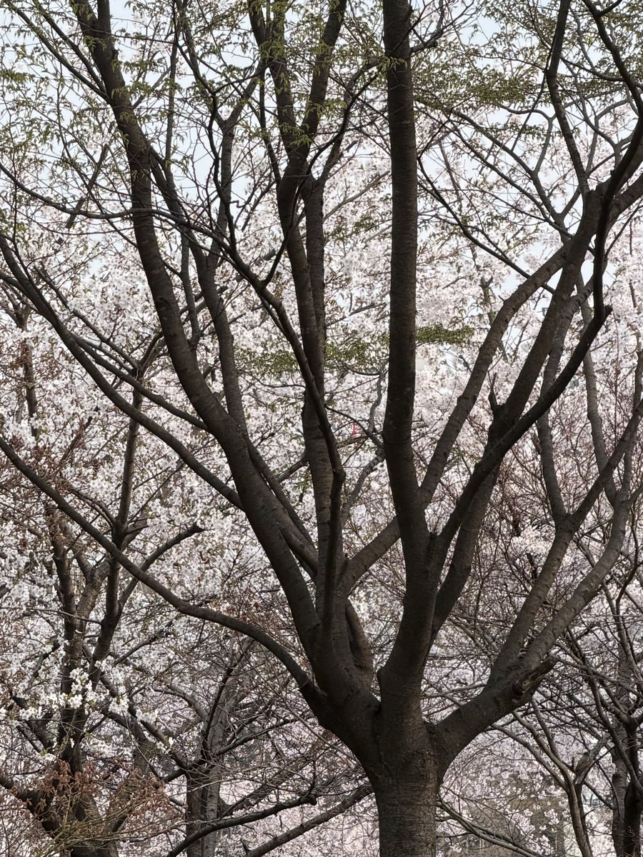 정우석 tweet media