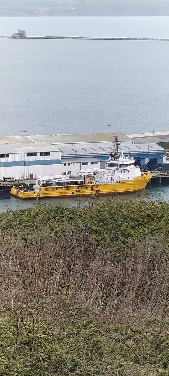 Justyn Ayton tweet media