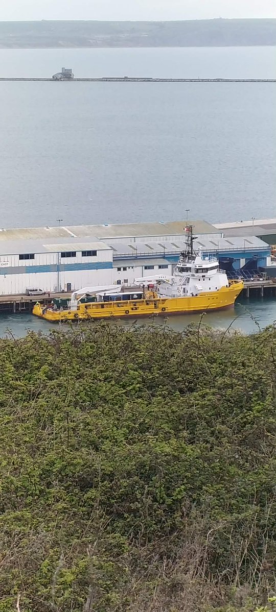 Justyn Ayton tweet media