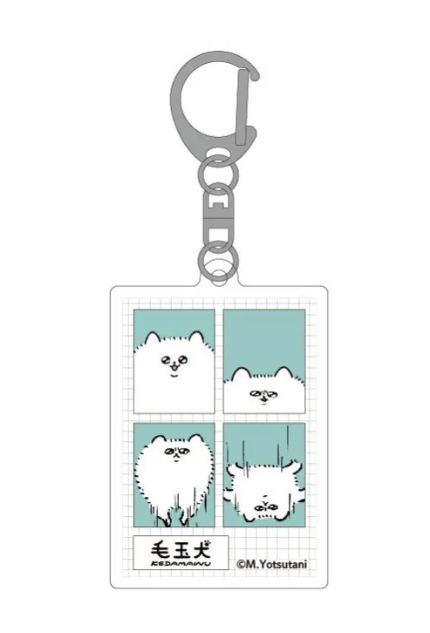 毛玉犬 tweet media