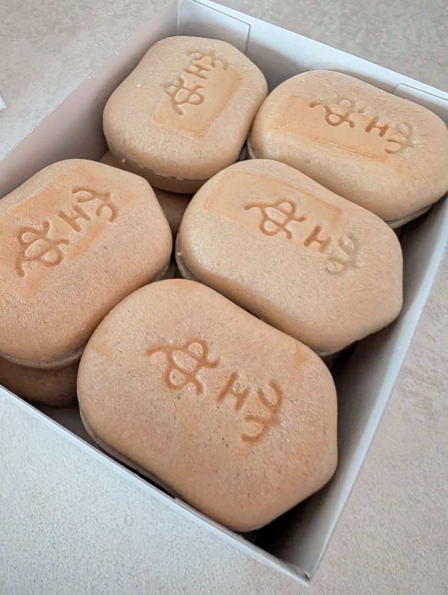 Hak Matsuda tweet media