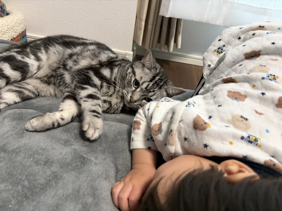 ねねね tweet media