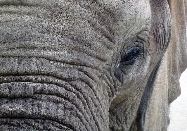 Marc Fletcher tweet media