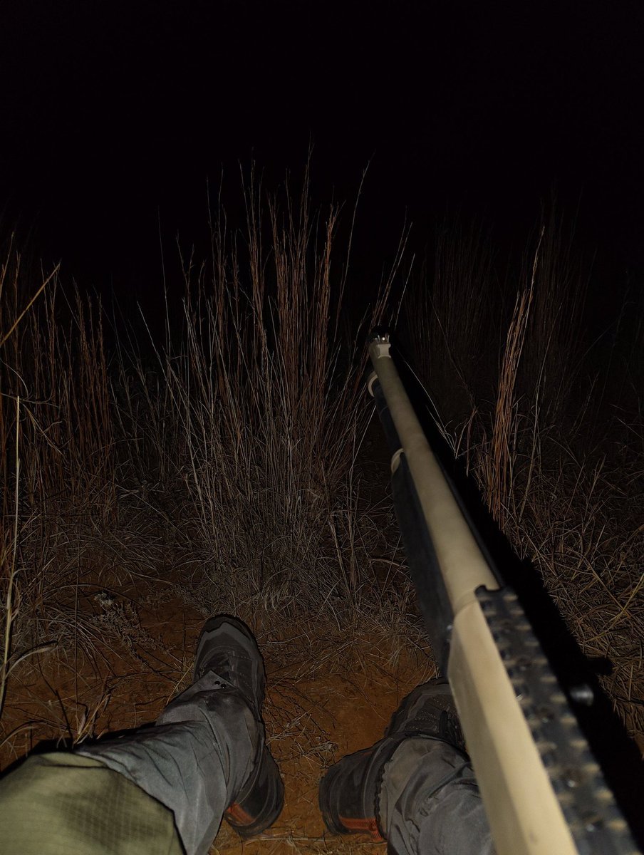 Texan_Nerd (In the Flight Hanger) tweet media