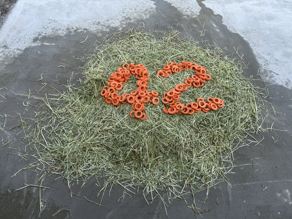 八木山動物公園フジサキの杜【公式】 tweet media