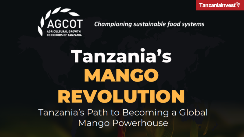TanzaniaInvest's tweet image. Tanzania has emerged as the 12th largest mango producer globally with an annual output of 700,000 metric tons. Strategic investments in the ‘Koga’ variety are positioned to transform the sector into a major foreign exchange earner.

tanzaniainvest.com/agriculture/ma… 
@AGCOT_CENTRE #mango