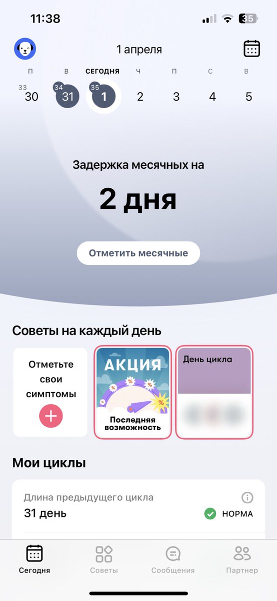 ДиДи tweet media