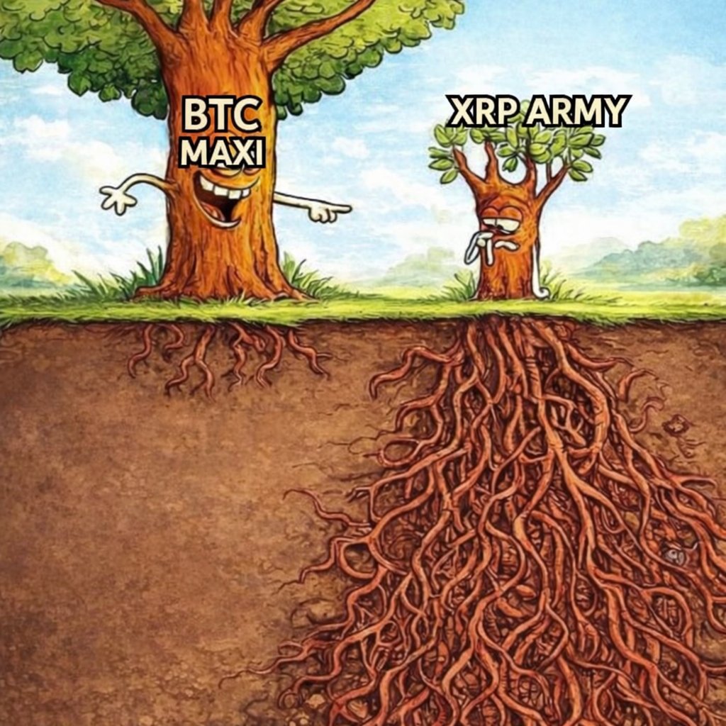 XRP: Deep-rooted tree✅️