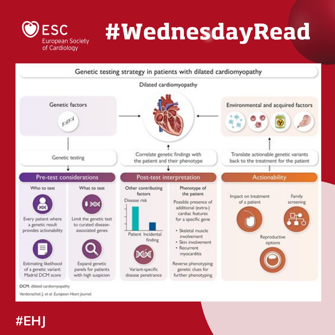 European Society of Cardiology tweet media