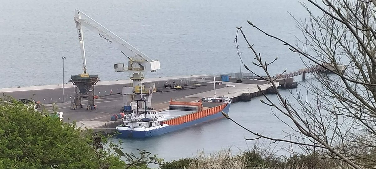 Justyn Ayton tweet media