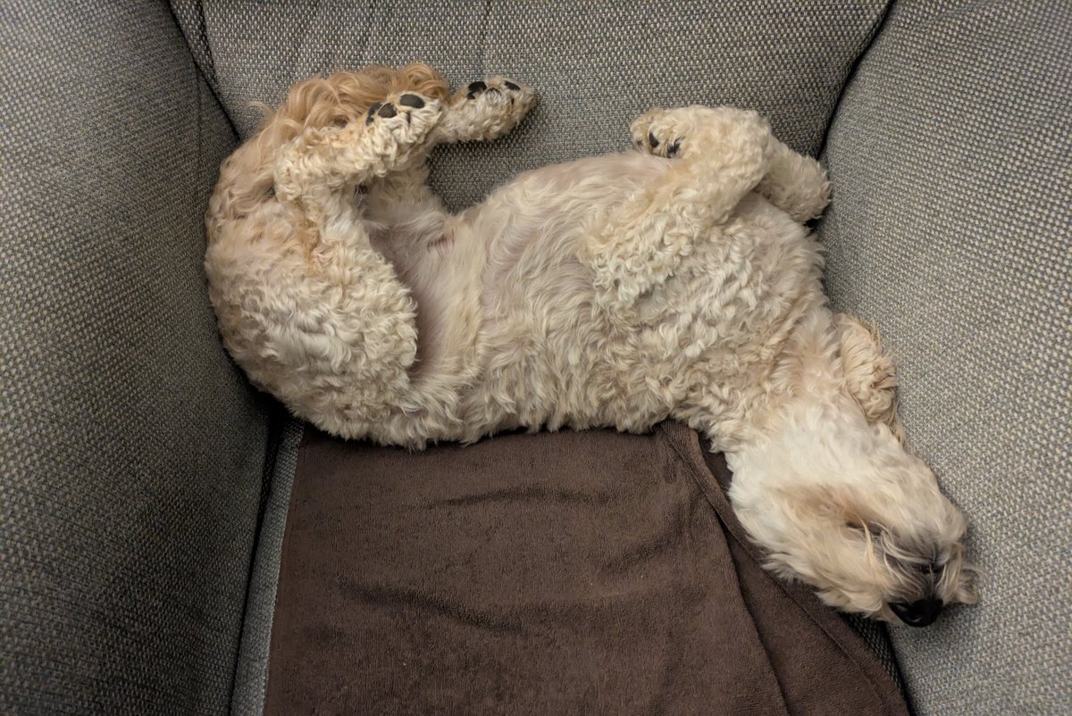 Martin Gathercole🐦X🐦 tweet media