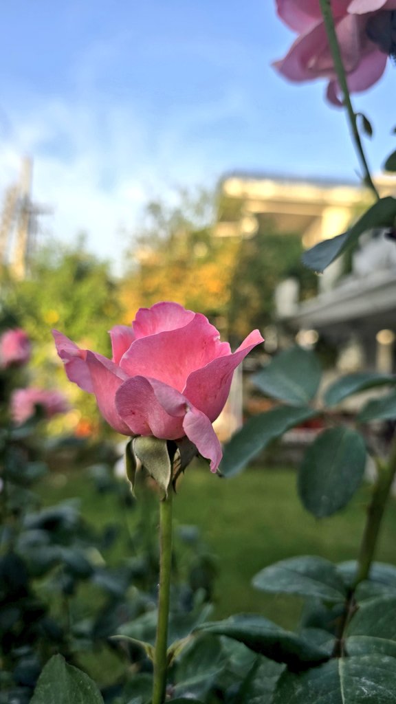 Chetna 💜 tweet media