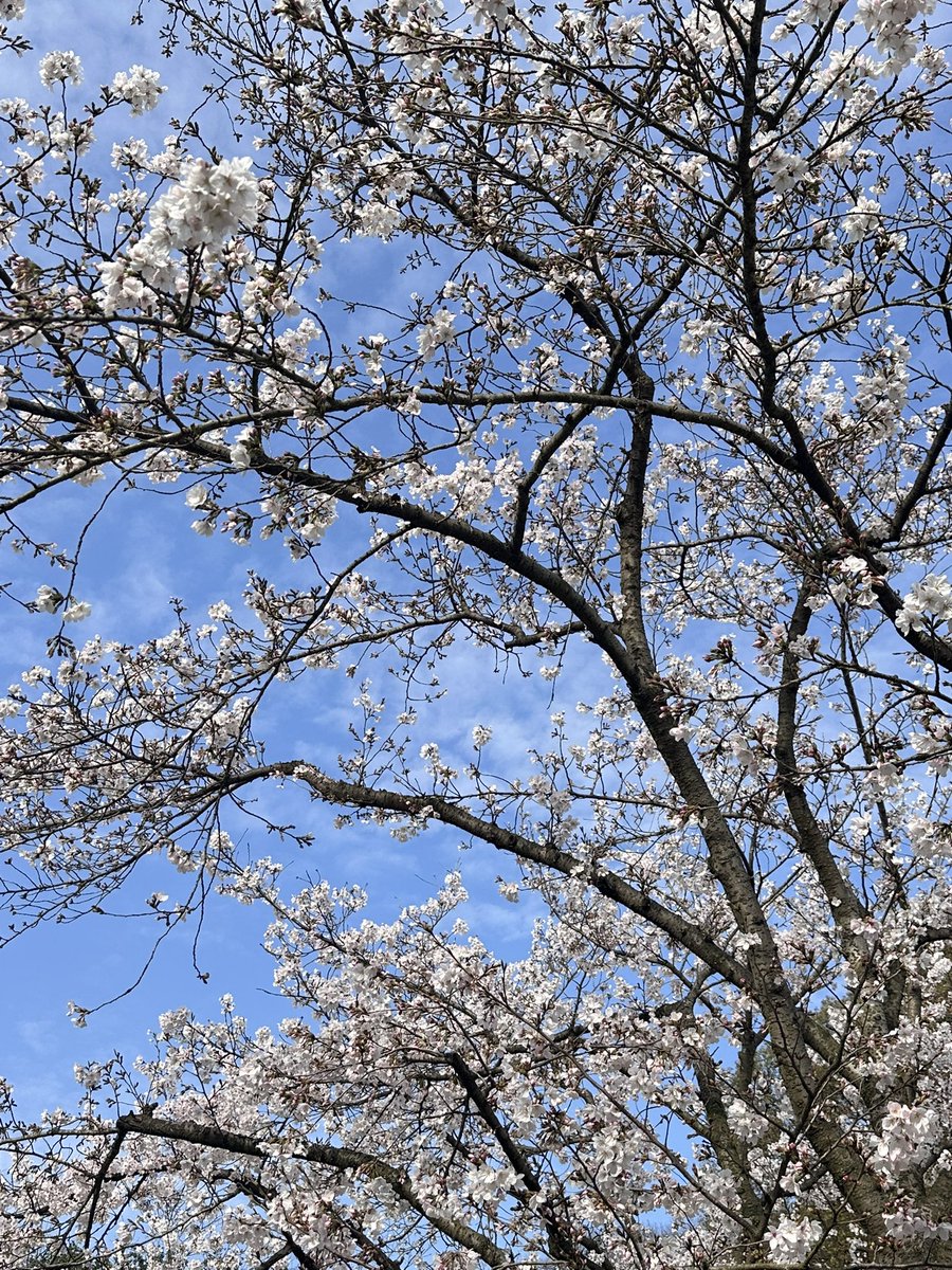 윈터보이❄️ tweet media
