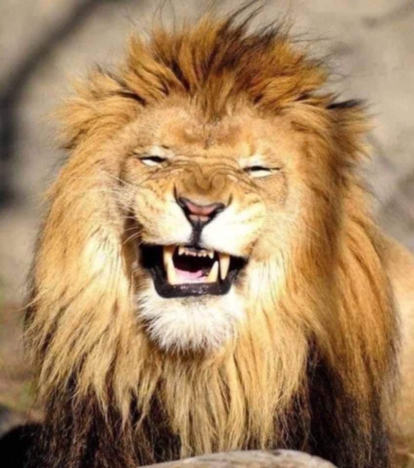 Otgoo Otgoo tweet media