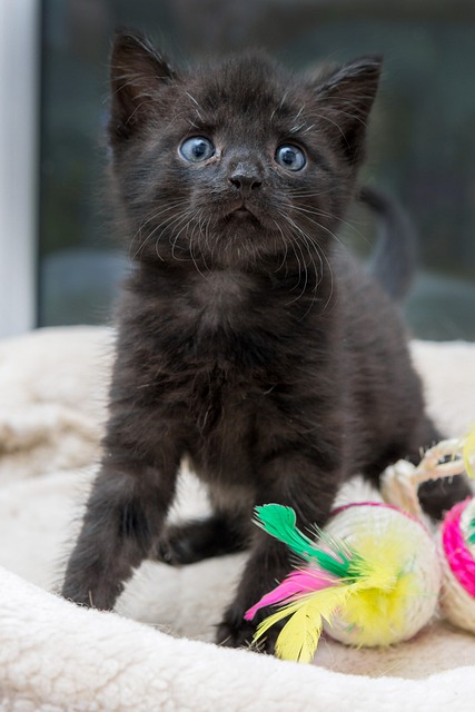 Preethika Turner tweet media