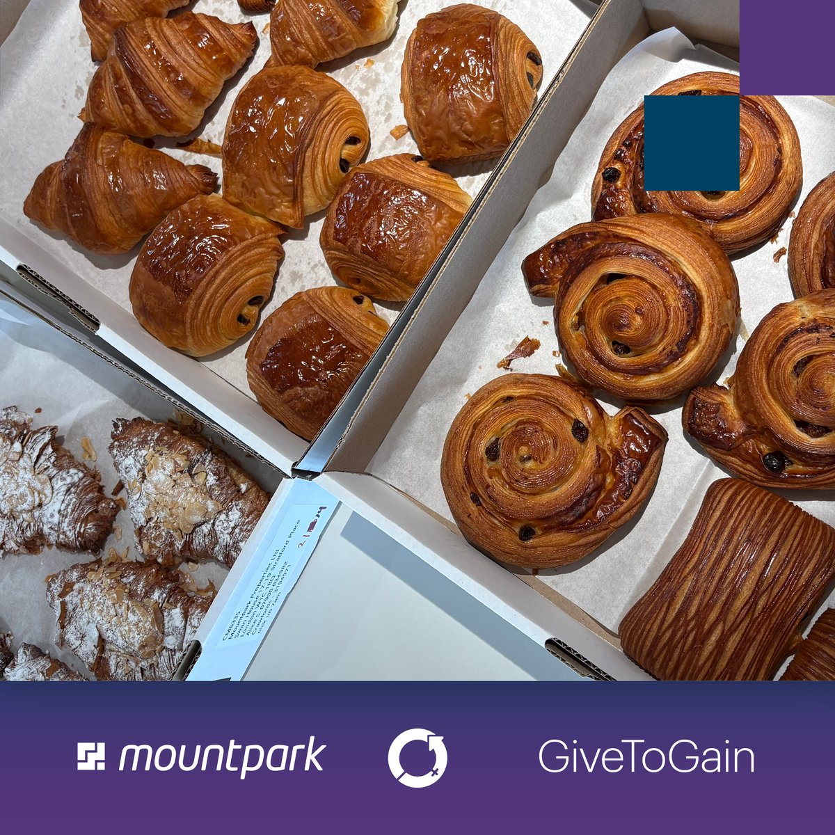 Mountpark tweet media