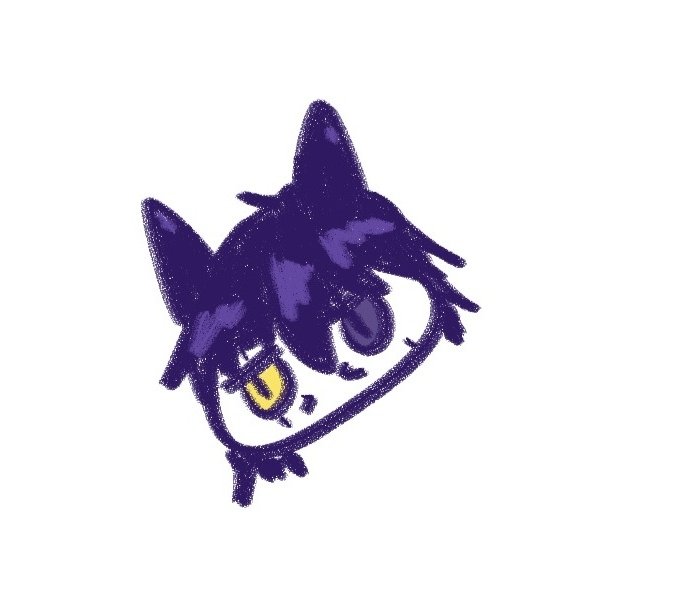 염료🌌 tweet media