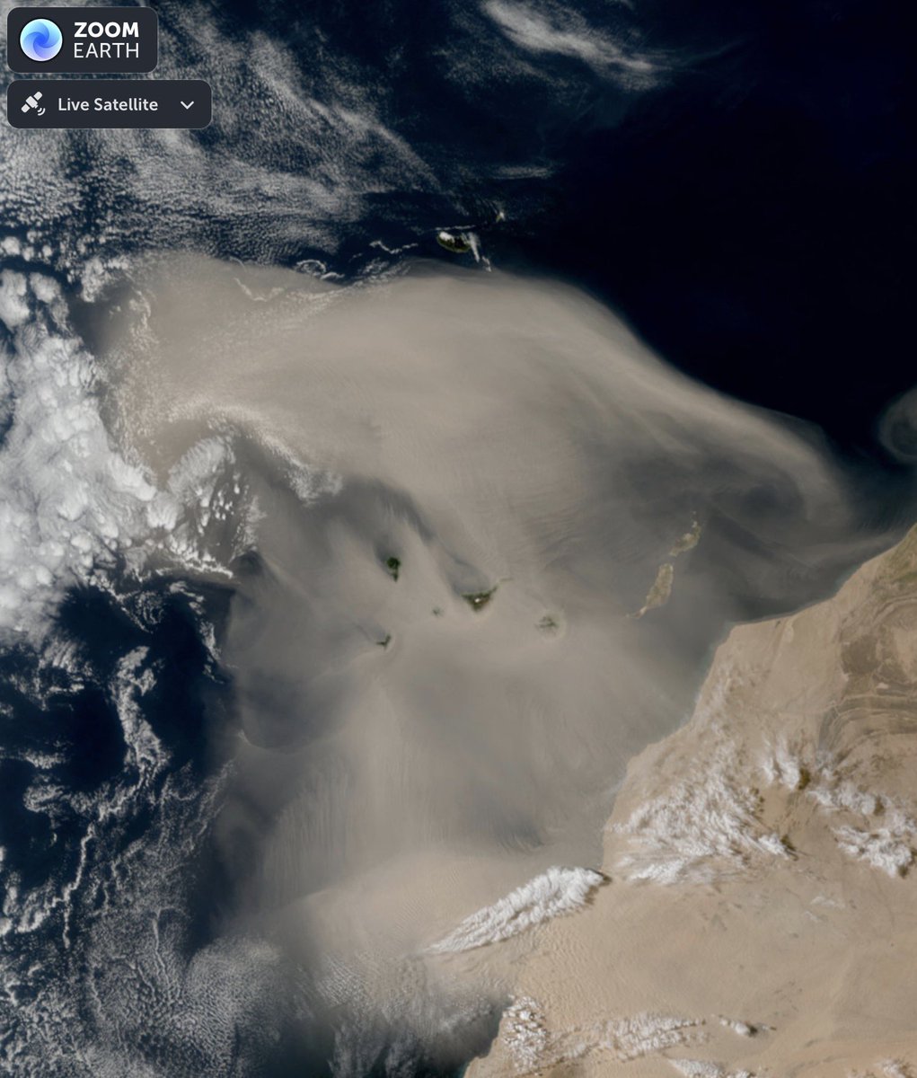 Dave Throup tweet media