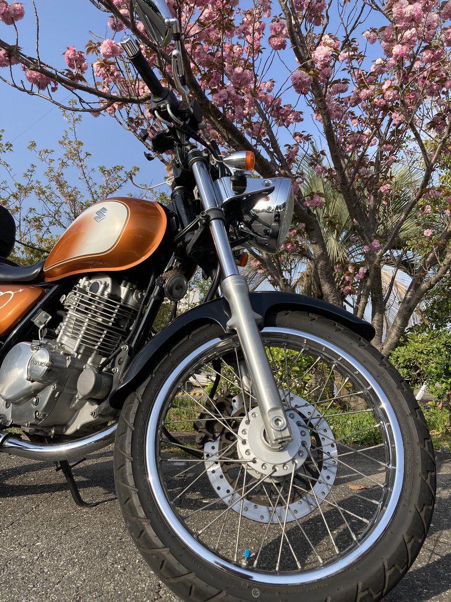 みーこ(ねぼすけ） tweet media