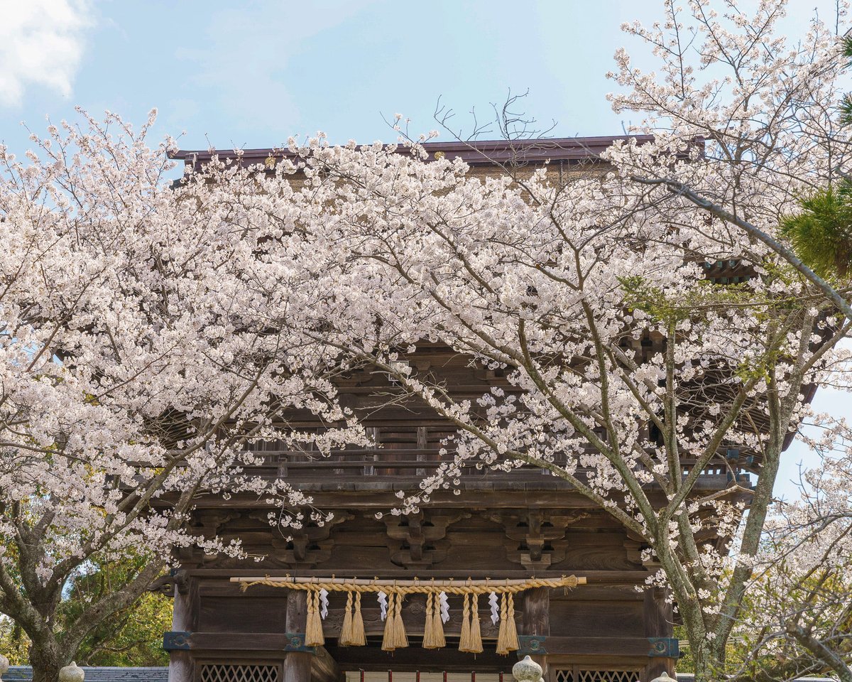 Japan Travel tweet media